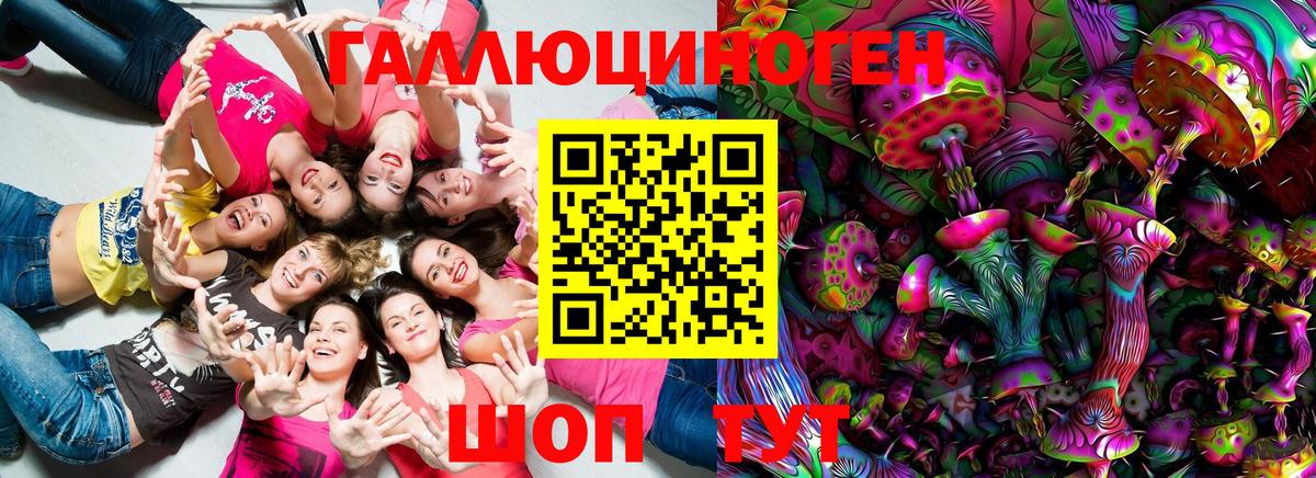Псилоцибиновые грибы GOLDEN TEACHER Каменск-Шахтинский