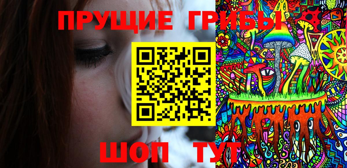 Галлюциногенные грибы MAGIC MUSHROOMS  Галлюциногенные грибы мухоморы  Каменск-Шахтинский  Вход с VPN 